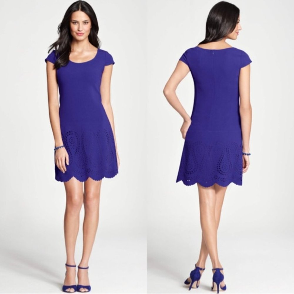 Ann Taylor Paisley blue cap sleeve laser cut dress